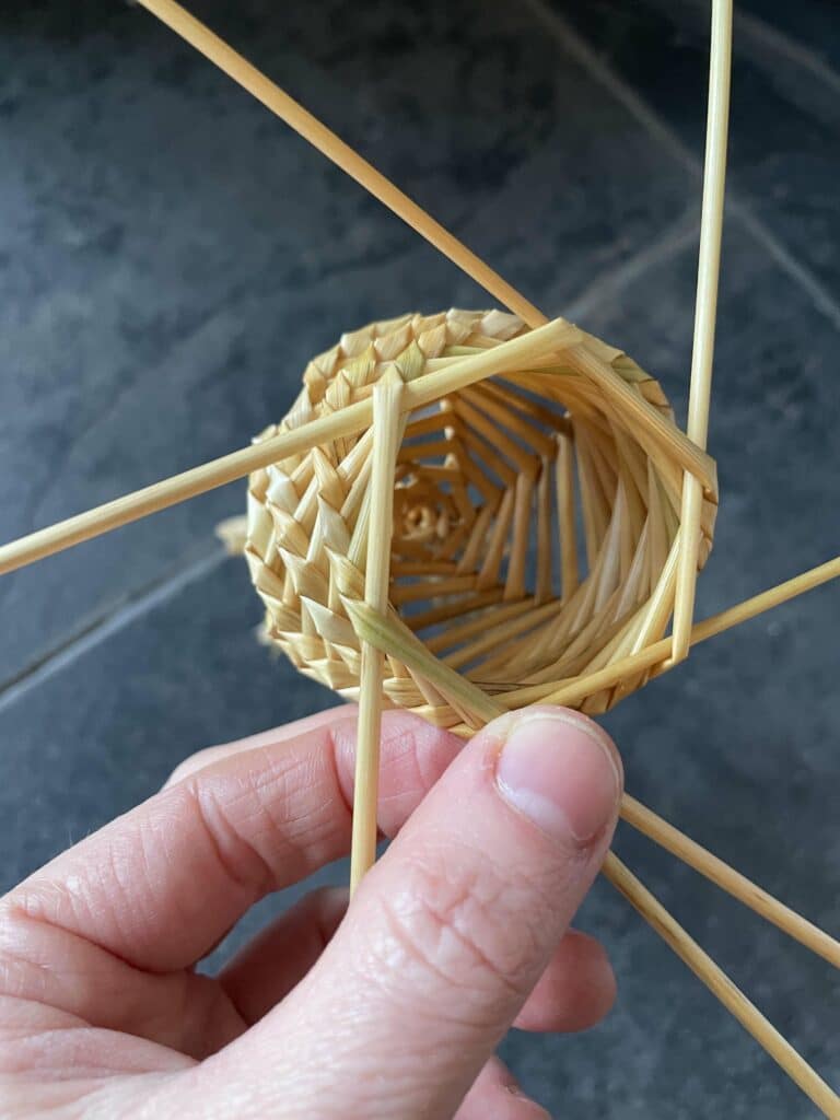 Spiral Plaiting